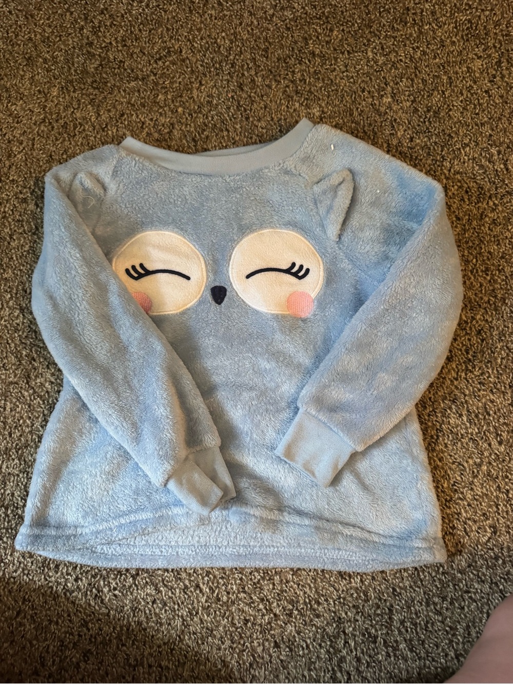 Cozy Blue Owl Fuzzy Pullover